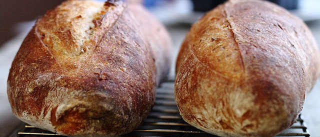 Summer of Sourdough