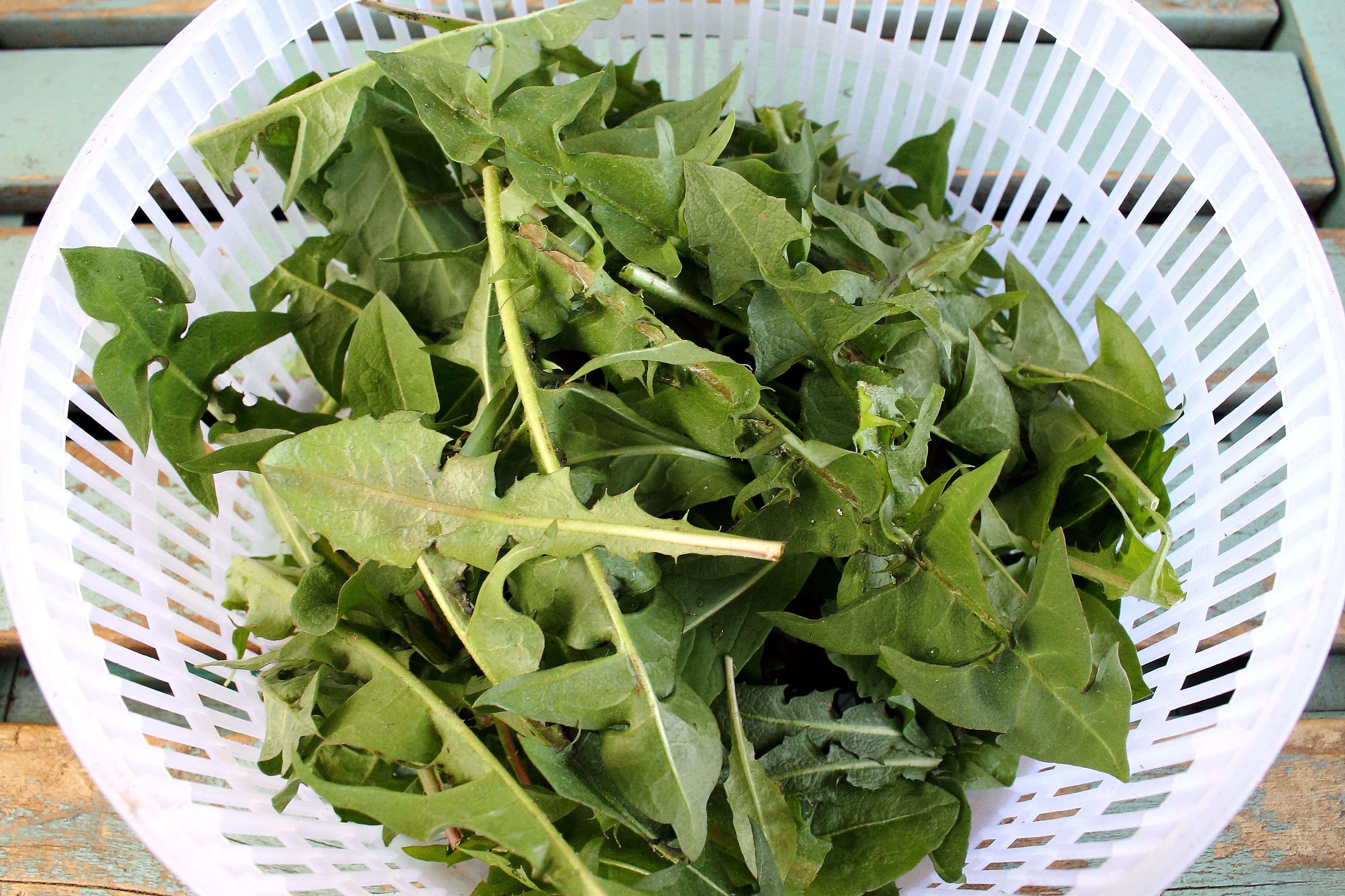 Dandelion Salad with Parsnip â€œBaconâ€ and 4 Reasons to Eat Dandelion Greens
