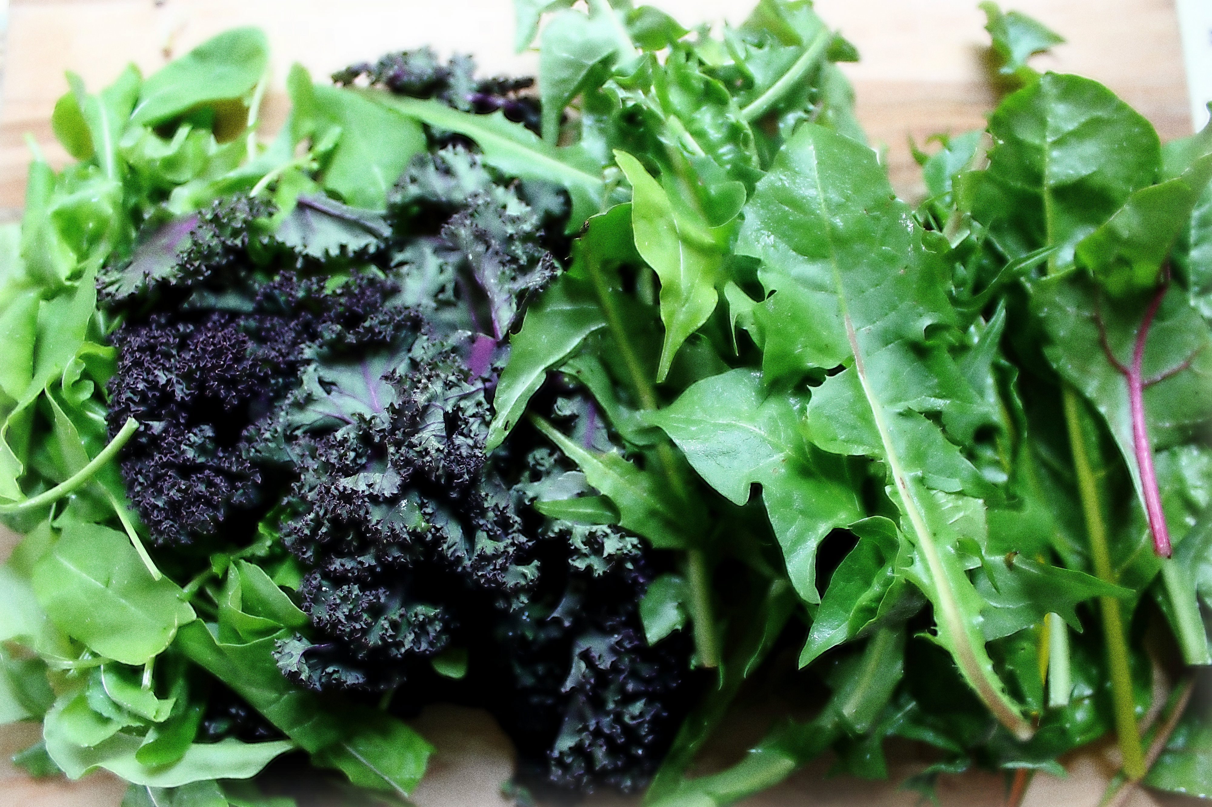 Spring Greenakopia – Another Way to Use Dandelion Greens!