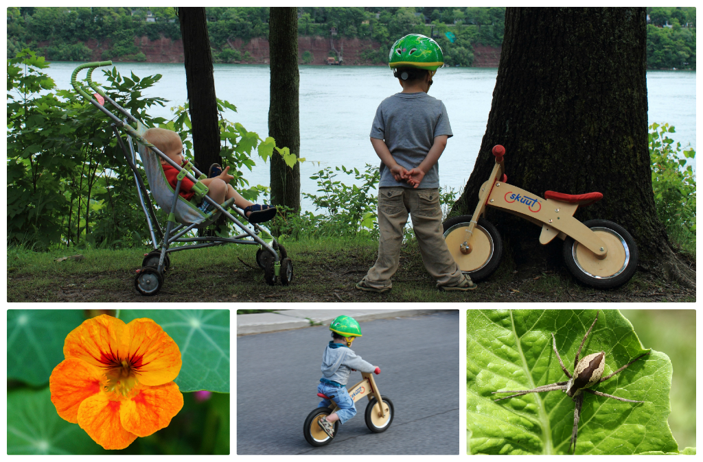 Southern Ontario Meal Plan � First Week of Summer!