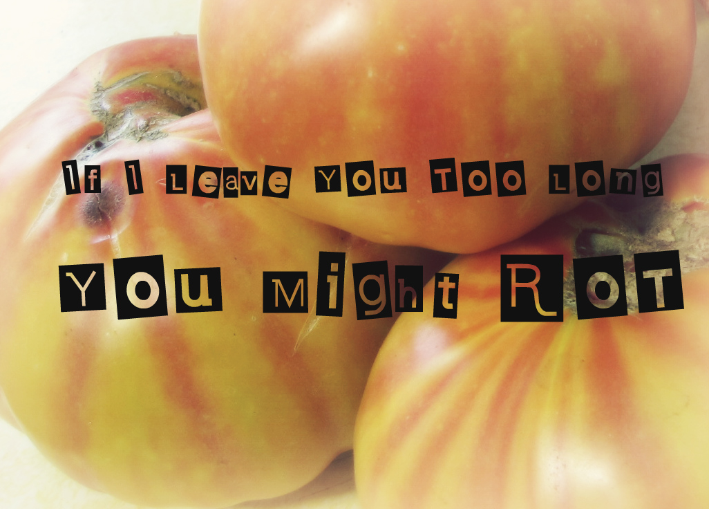 Music Mednesday: If I Leave You Too Long You Might Rot