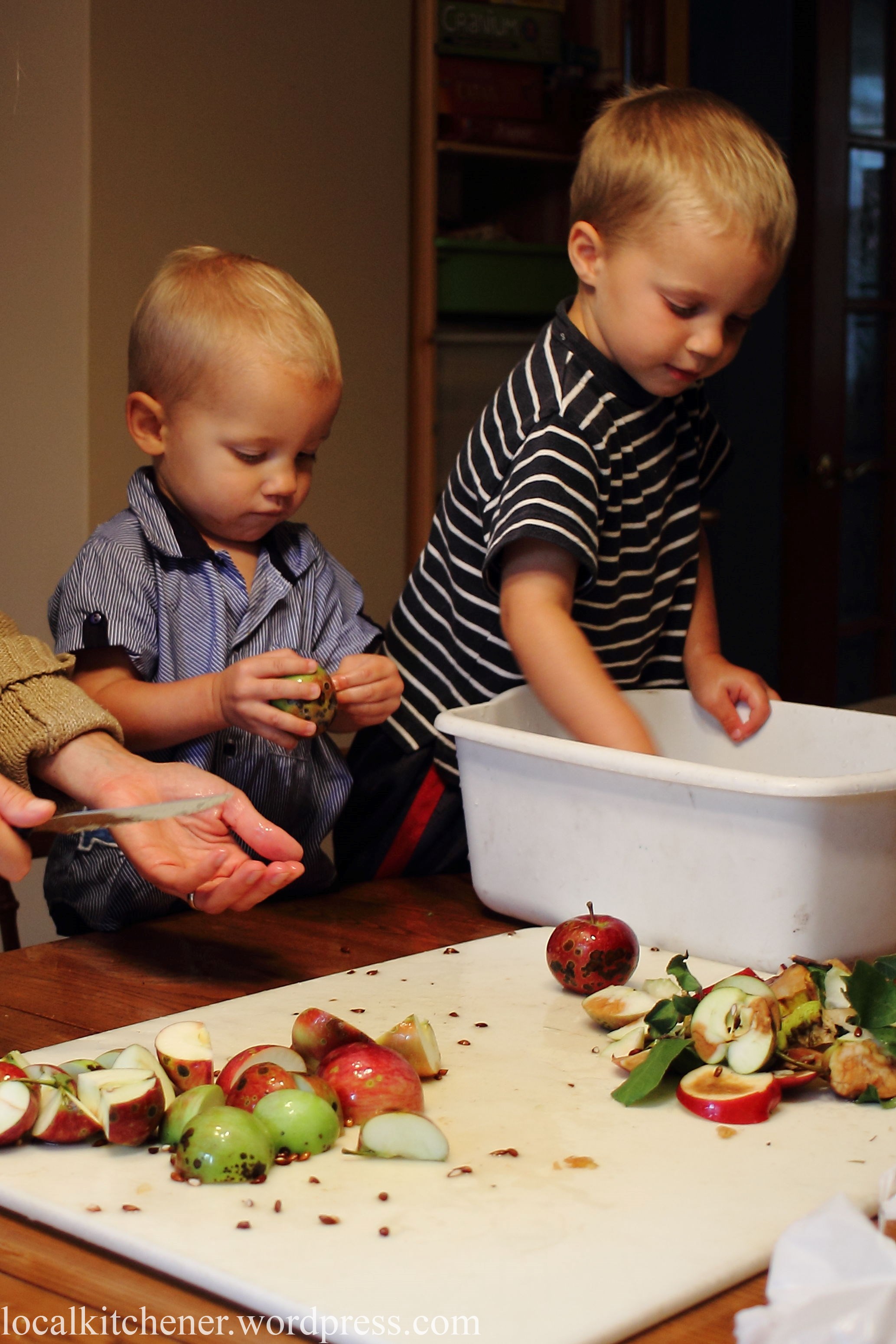 chopping apples for sauce IMG_6350