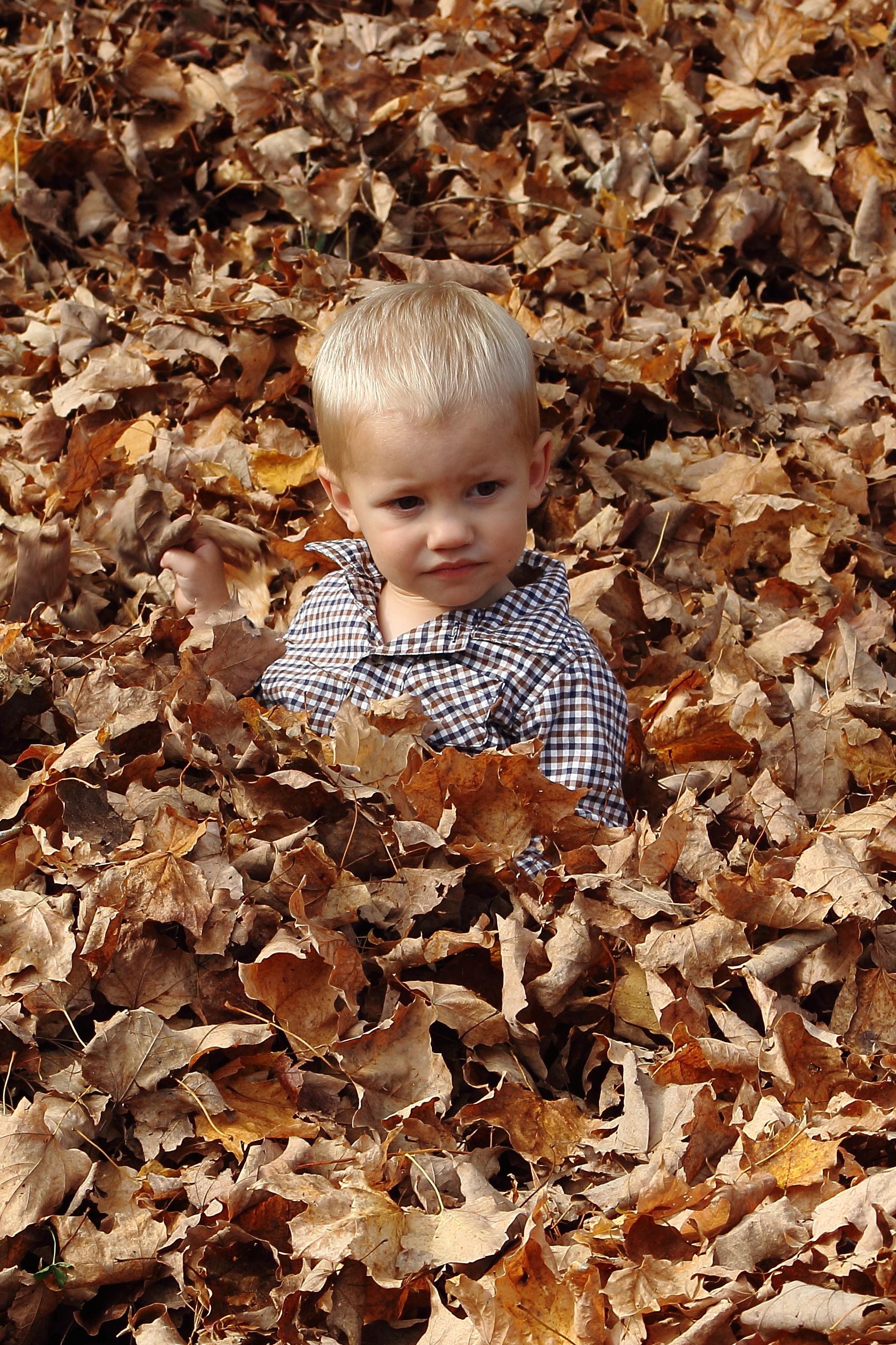 Our younger assistant