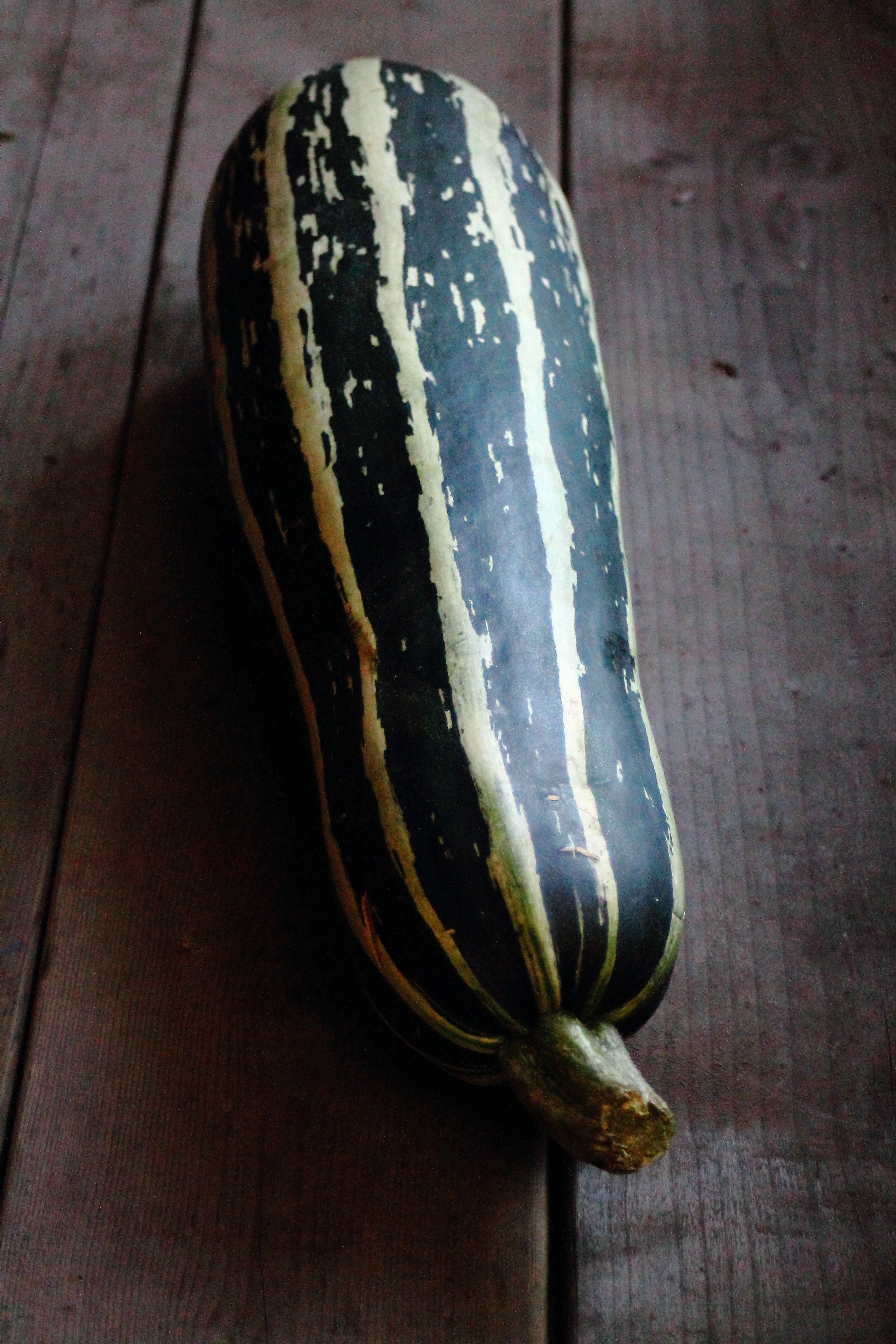 Making the Harvest Last: You Can Can Soup!