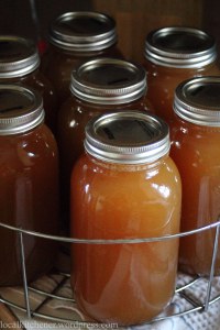 canned apple cider