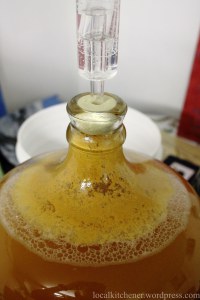 hard cider fermenting