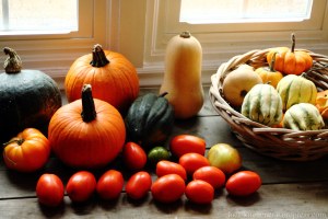 Summer and Fall Produce