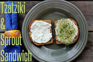 tzatziki & sprout sandwich