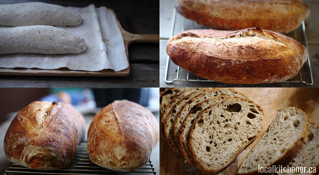 A bread to win collage
