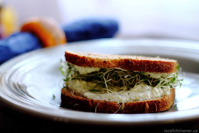 tzatziki sprout sandwich