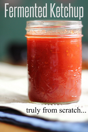 fermented ketchup